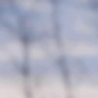 Landscape 047