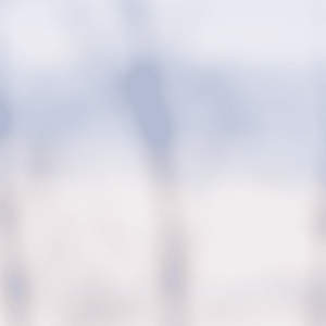 Landscape 046