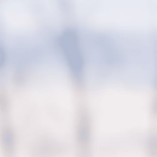 Landscape 046