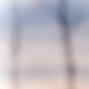 Landscape 045