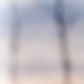 Landscape 045