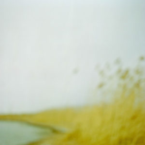 Landscape 043