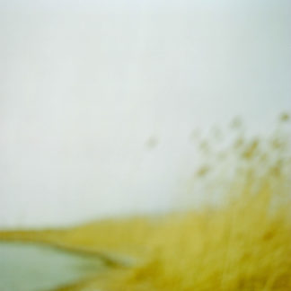 Landscape 043
