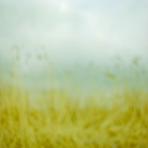 Landscape 041
