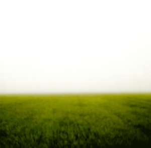 Landscape 038