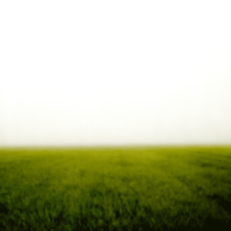 Landscape 038
