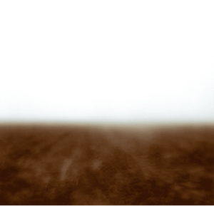 Landscape 036