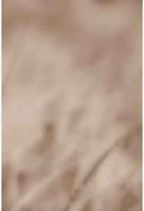 Landscape 034
