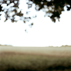 Landscape 030