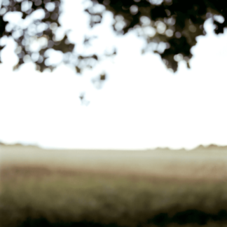 Landscape 030
