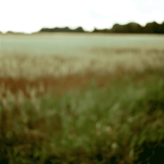 Landscape 028