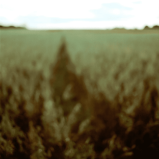 Landscape 027