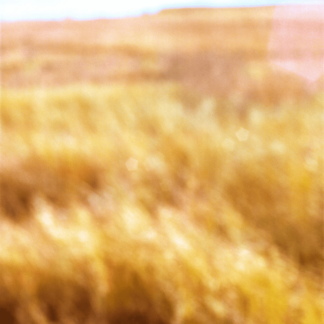 Landscape 019