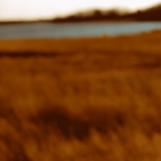 Landscape 018