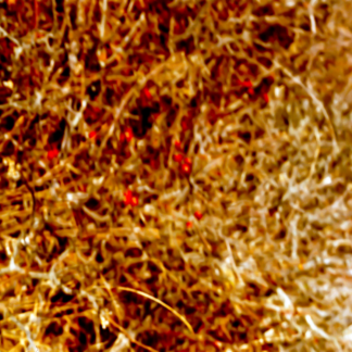 Landscape 015
