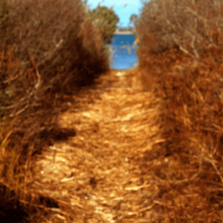 Landscape 014