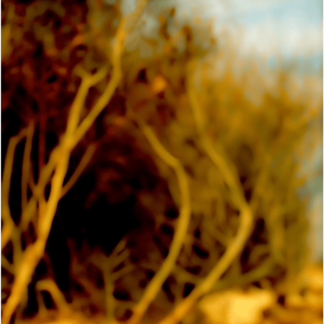 Landscape 013