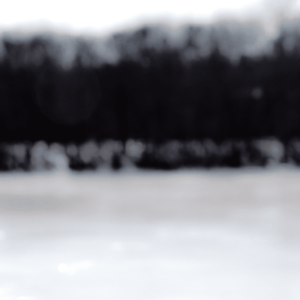 Color Fields 099