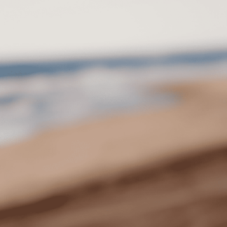Color Fields 082