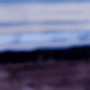 Color Fields 067