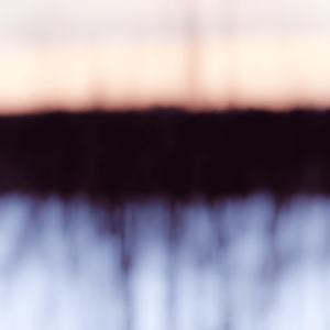 Color Fields 061