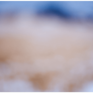 Color Fields 047
