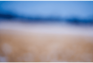 Color Fields 048