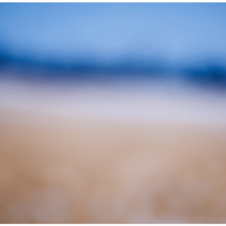 Color Fields 048