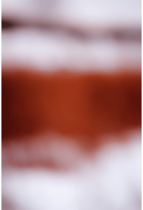 Color Fields 031