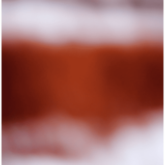 Color Fields 031