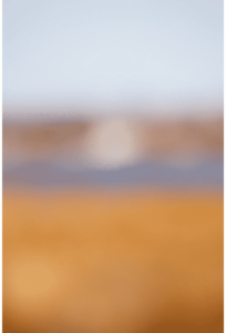 Color Fields 025