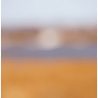 Color Fields 025