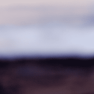 Color Fields 006