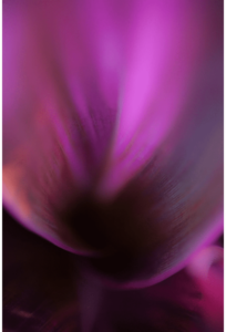 Abstracts of the Land 018
