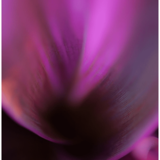 Abstracts of the Land 018