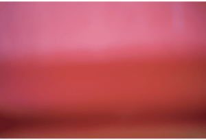 Abstracts of the Land 010