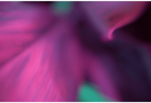 Abstracts of the Land 008