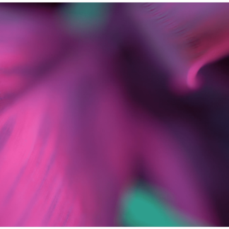 Abstracts of the Land 008