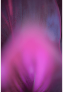 Abstracts of the Land 007