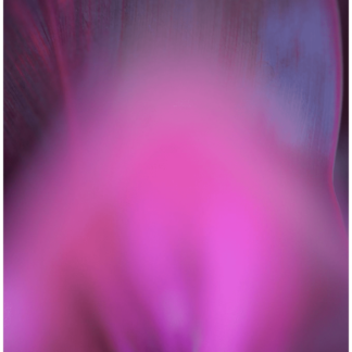 Abstracts of the Land 007