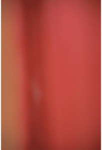 Abstracts of the Land 004
