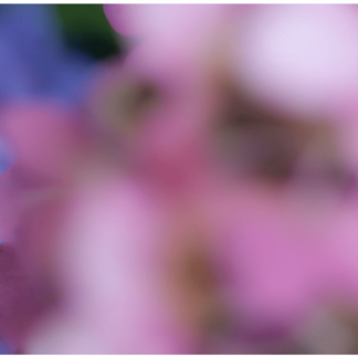Abstracts of the Land 001