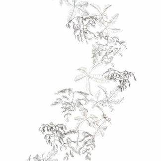 Branches / Matsueda II / VA Creeper Mix