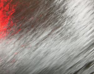 Carwash 24