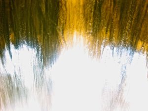 Carwash 13