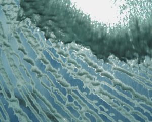 Carwash 9