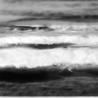 Ocean Study #9056
