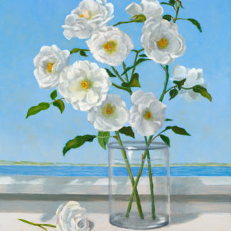 Summer Roses