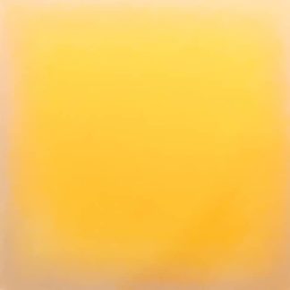 (S47) Yellow Statement II