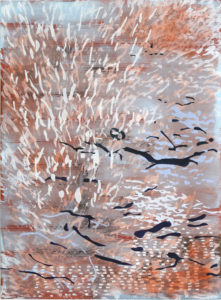 Red Star Canyon 303